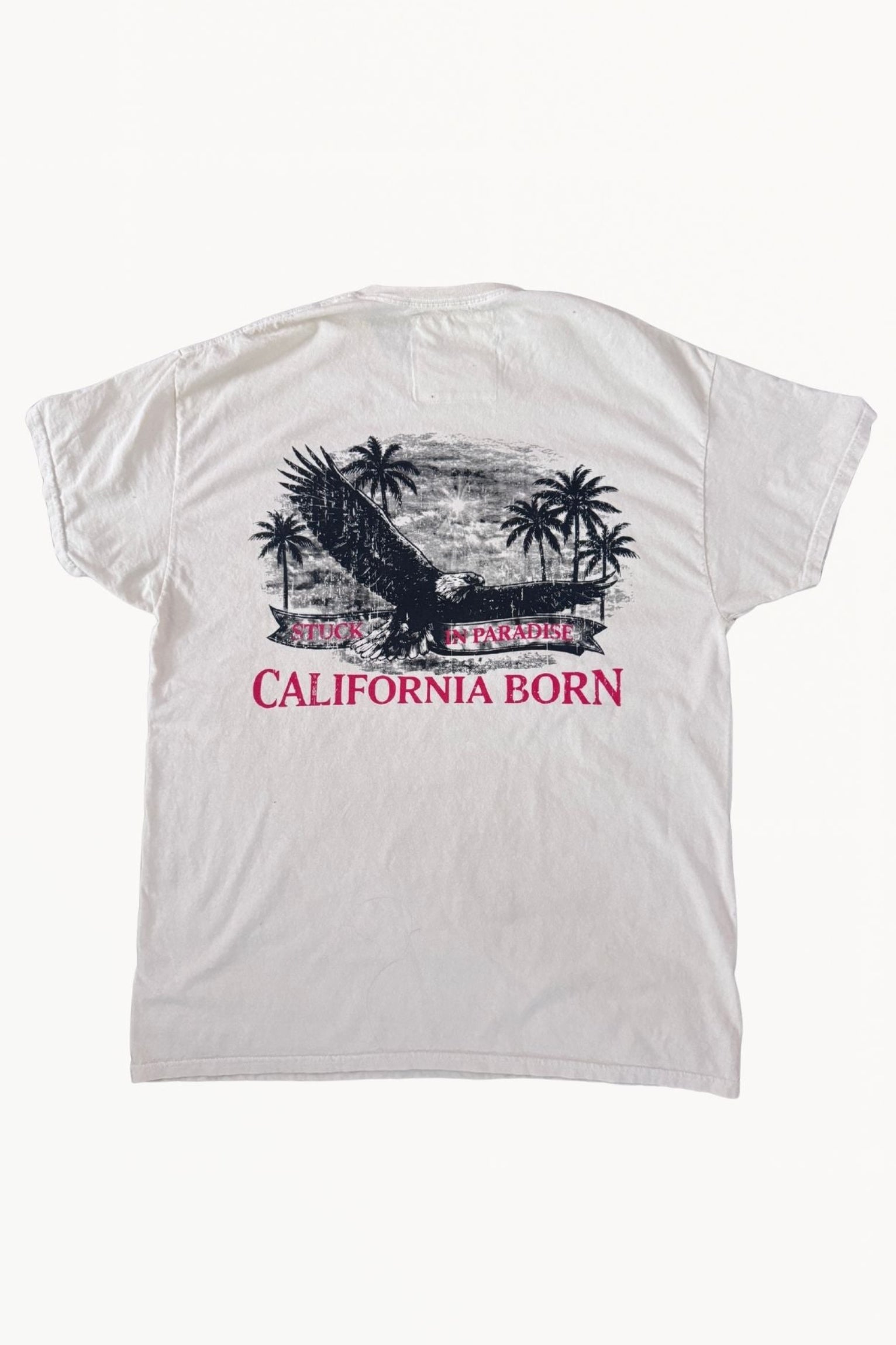 Stuck In Paradise Vintage Tee