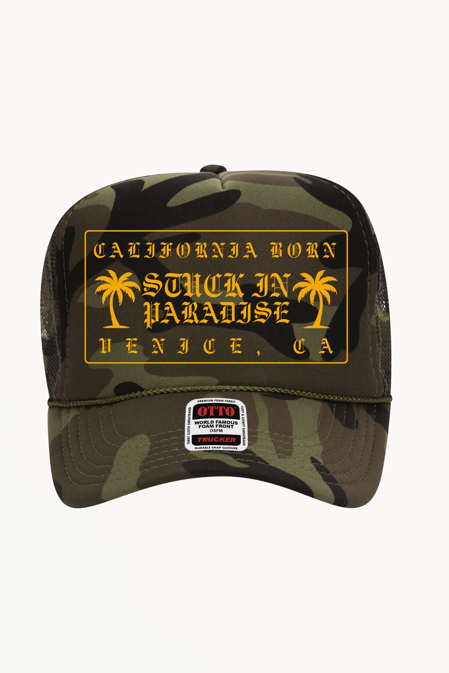 California Born Palm