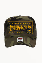 California Born Palm