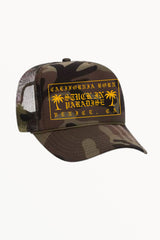 California Born Palm