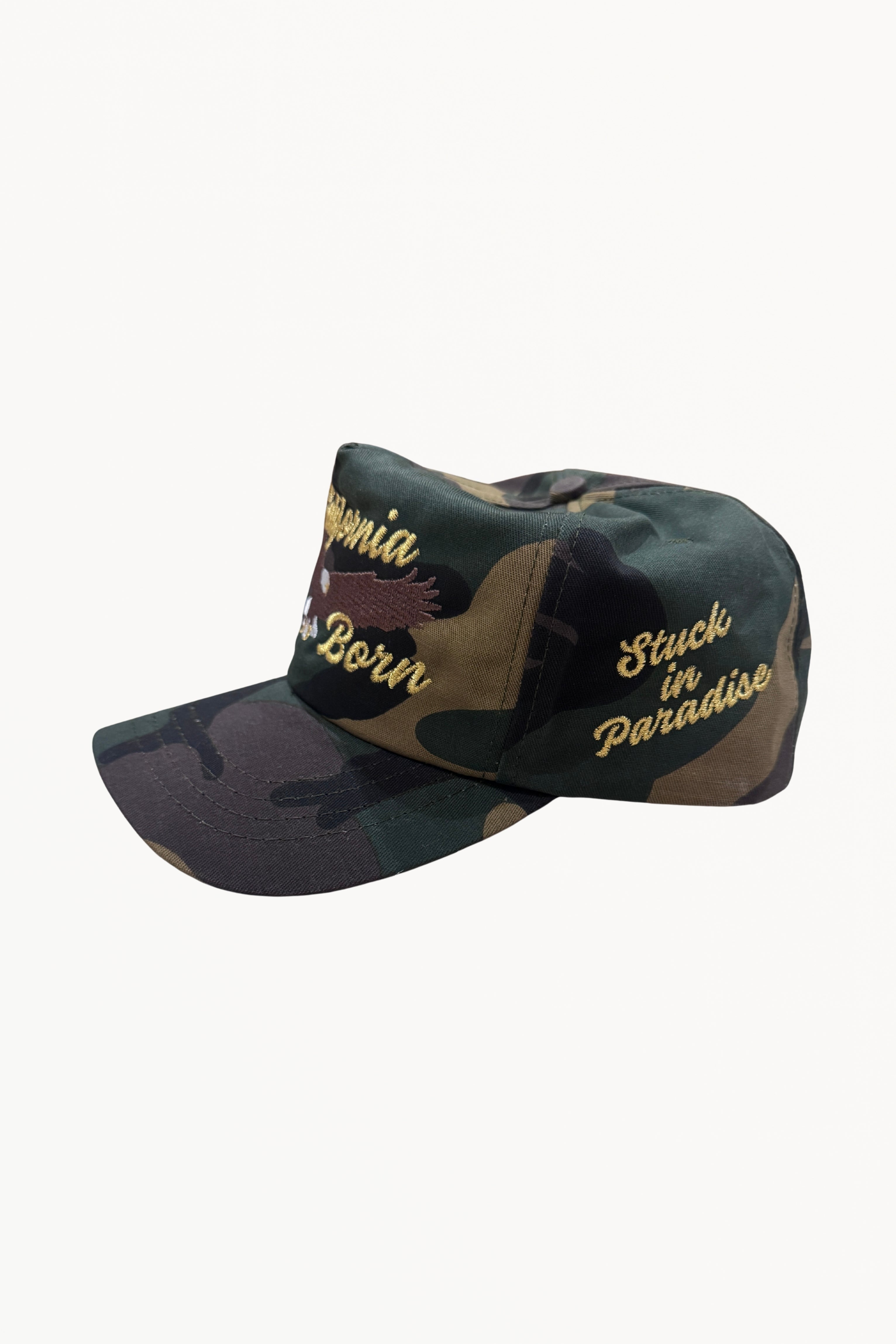 Camo Hat